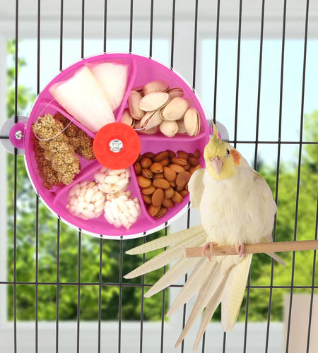 Bird Creative Foraging System Wheel Seed Food Ball Rotate Training Toy for Small and Medium Parrots Parakeet Cockatiel Conure